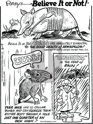 Ripley's Believe It or Not on Tuesday June 9, 1998 Comic Strip