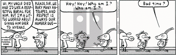 Pearls Before Swine on Tuesday February 26, 2008 Comic Strip