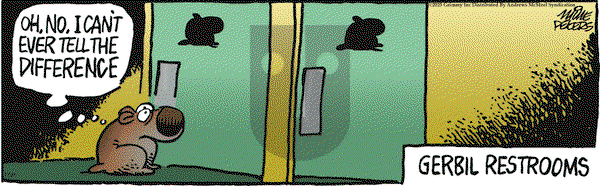 Mother Goose and Grimm on Tuesday July 29, 2025 Comic Strip