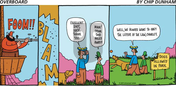 Overboard on Sunday November 20, 2011 Comic Strip