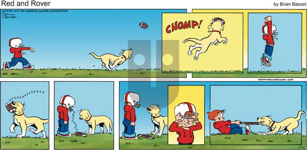Red and Rover on Sunday November 15, 2020 Comic Strip