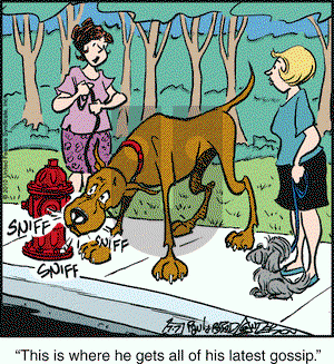 Marmaduke on Wednesday July 7, 2010 Comic Strip