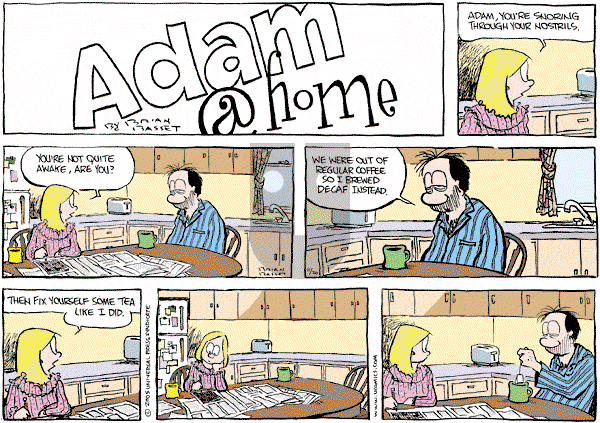 Adam@Home on Sunday November 20, 2005 Comic Strip