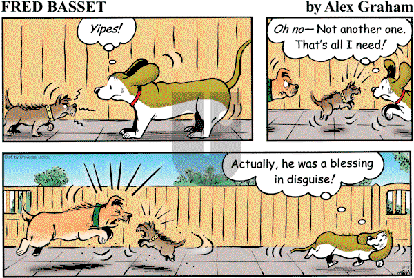 Fred Basset on Sunday June 13, 2010 Comic Strip