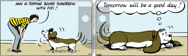 Fred Basset on Thursday May 20, 2021 Comic Strip
