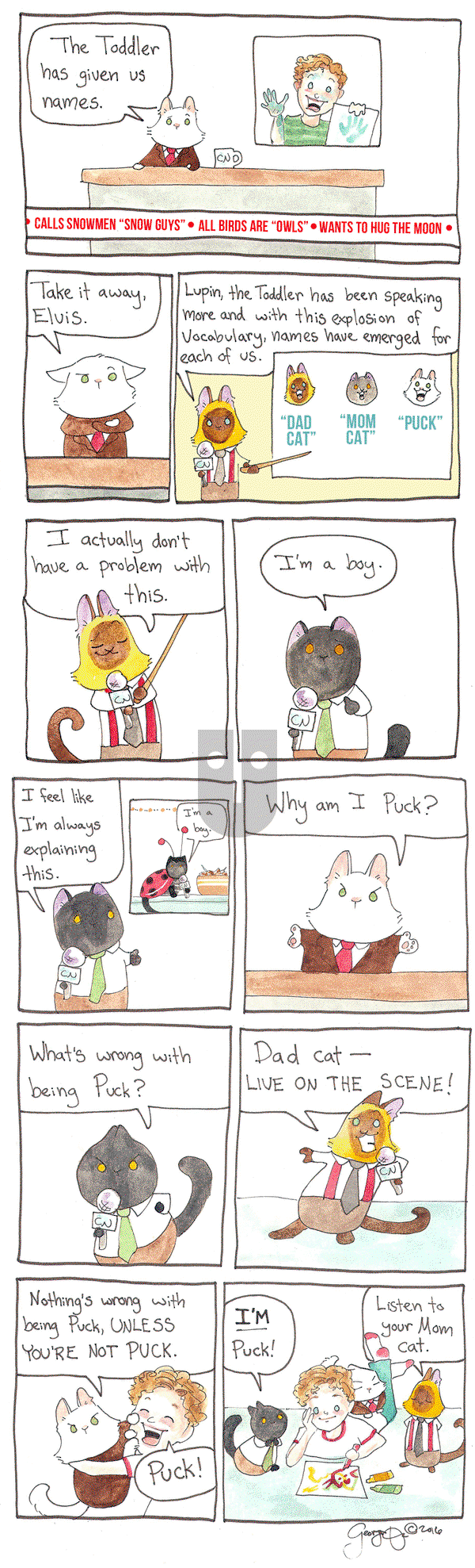 Breaking Cat News on Wednesday April 27, 2016 Comic Strip