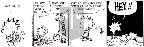 Calvin and Hobbes on Saturday January 1, 1994 Comic Strip