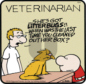 Ziggy on Tuesday December 4, 2018 Comic Strip