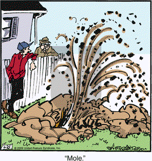 Marmaduke on Thursday June 25, 2009 Comic Strip