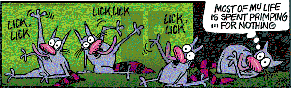 Mother Goose and Grimm on Saturday July 26, 2025 Comic Strip