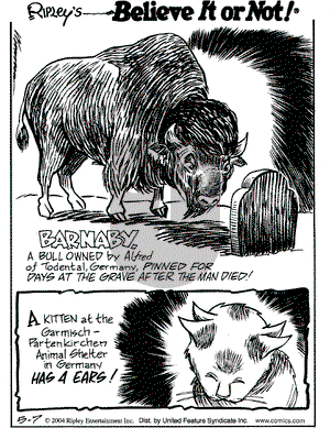 Ripley's Believe It or Not on Friday May 7, 2004 Comic Strip