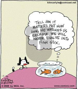 Kit 'N' Carlyle on Tuesday December 16, 2008 Comic Strip