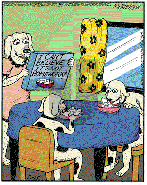 Close to Home on Monday May 20, 2024 Comic Strip