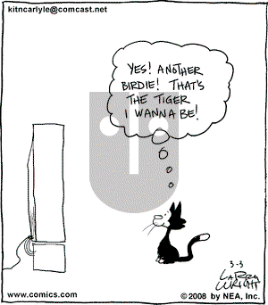 Kit 'N' Carlyle on Monday March 3, 2008 Comic Strip