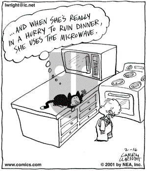 Kit 'N' Carlyle on Friday February 16, 2001 Comic Strip