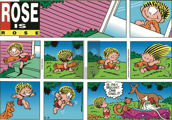 Rose is Rose on Sunday June 8, 2025 Comic Strip