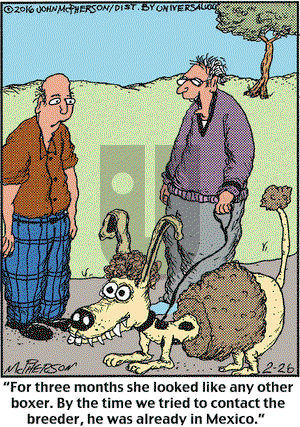 Close to Home on Friday February 26, 2016 Comic Strip