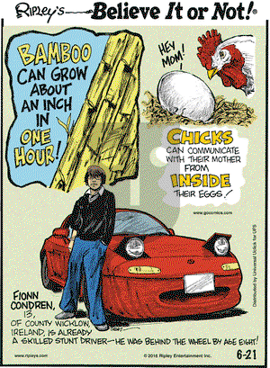 Ripley's Believe It or Not on Tuesday June 21, 2016 Comic Strip