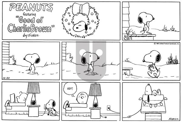 Peanuts on Sunday December 20, 1981 Comic Strip