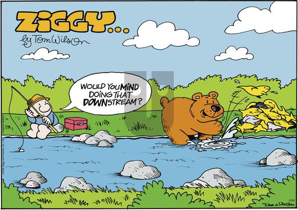 Ziggy on Sunday December 30, 2018 Comic Strip