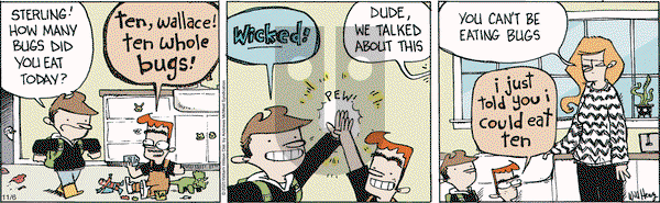 Wallace the Brave on Thursday November 6, 2025 Comic Strip