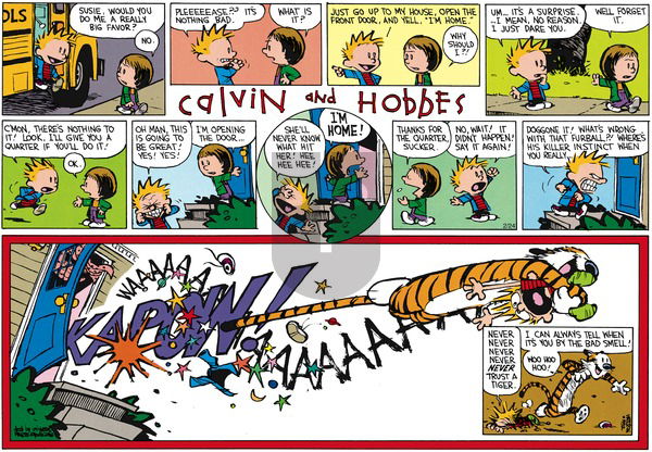 Calvin and Hobbes on Sunday April 12, 1992 Comic Strip