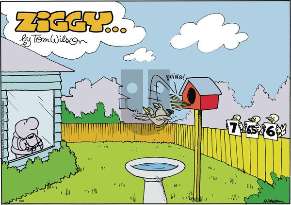 Ziggy on Sunday June 23, 2019 Comic Strip