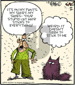 Reality Check on Saturday January 6, 2018 Comic Strip
