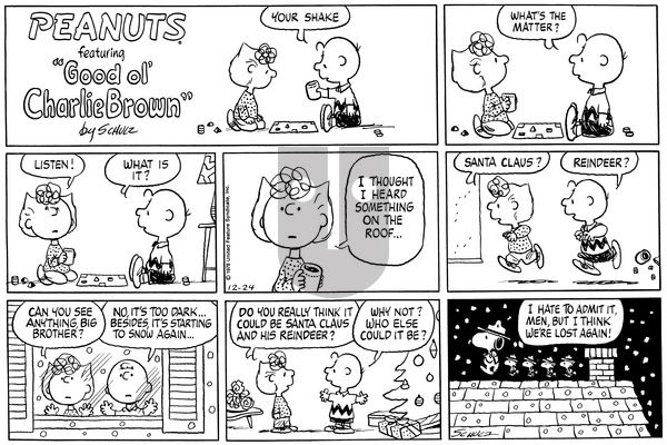 Peanuts on Sunday December 24, 1978 Comic Strip