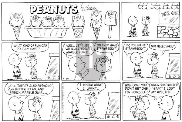 Peanuts on Sunday July 24, 1988 Comic Strip