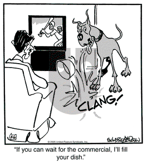 Marmaduke on Monday June 6, 2005 Comic Strip