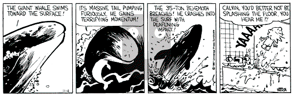 Calvin and Hobbes - Wednesday November 4, 1987 Comic Strip