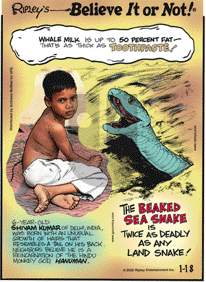 Ripley's Believe It or Not on Saturday January 18, 2020 Comic Strip