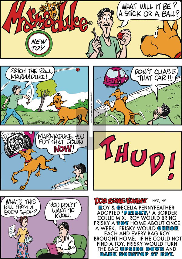 Marmaduke on Sunday May 17, 2020 Comic Strip