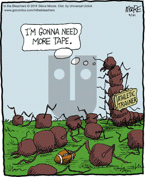 In the Bleachers on Friday February 21, 2014 Comic Strip