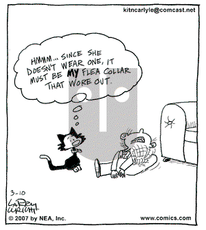 Kit 'N' Carlyle on Thursday March 29, 2007 Comic Strip