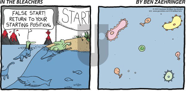 In the Bleachers - Sunday September 25, 2022 Comic Strip