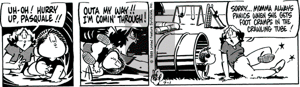 Rose is Rose on Saturday July 1, 1989 Comic Strip