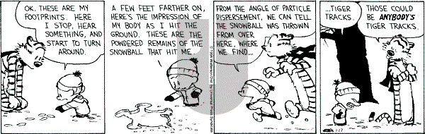 Calvin and Hobbes - Monday January 17, 1994 Comic Strip