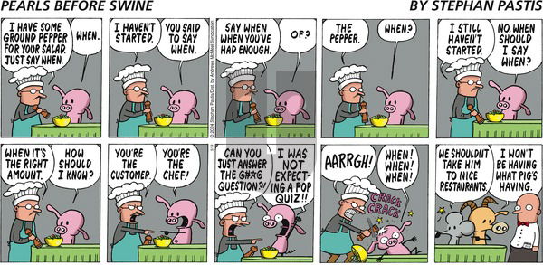 Pearls Before Swine - Sunday May 19, 2024 Comic Strip