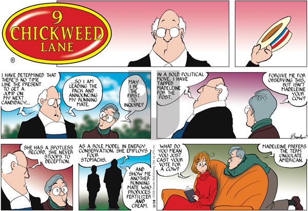 9 Chickweed Lane on Sunday December 28, 2008 Comic Strip