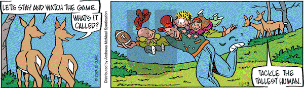 Rose is Rose - Wednesday November 13, 2024 Comic Strip