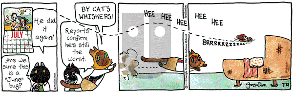 Breaking Cat News on Friday July 27, 2018 Comic Strip