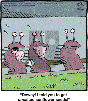 In the Bleachers on Saturday November 19, 2016 Comic Strip