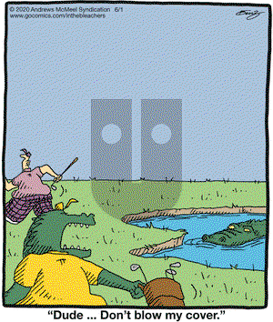 In the Bleachers on Monday June 1, 2020 Comic Strip