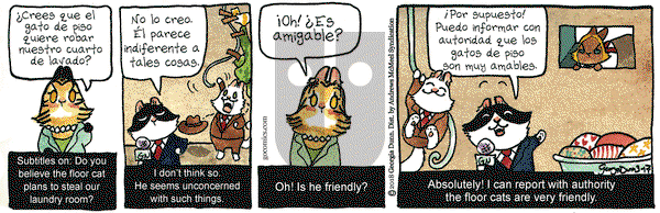 Breaking Cat News on Saturday March 17, 2018 Comic Strip