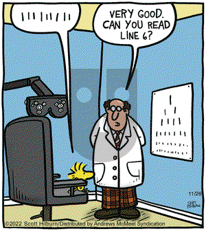 The Argyle Sweater - Saturday November 26, 2022 Comic Strip
