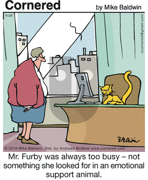 Cornered on Thursday June 28, 2018 Comic Strip