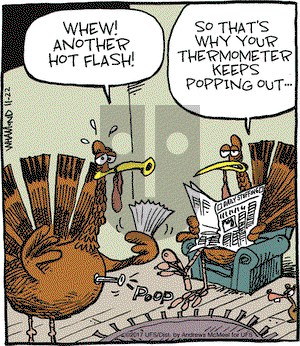 Reality Check - Wednesday November 22, 2017 Comic Strip