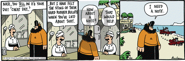 Overboard on Saturday August 27, 2016 Comic Strip